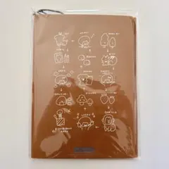杜の文具博 mizutama ファイリングノート A4 オレンジ 新品 未使用