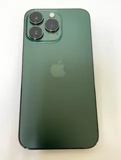 美品！iPhone 13 Pro 256GB アルパイルグリーン 100％