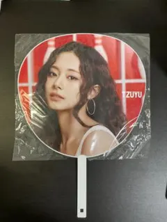 TWICE TZUYU うちわ JAPAN NATIONAL STADIUM