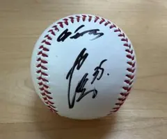 Item thumbnail for item 0af0c722-4b4d-472d-b994-d4e3fdb4a388