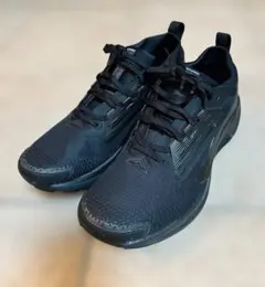 ナイキ ペガサス トレイル 5 GORE-TEX