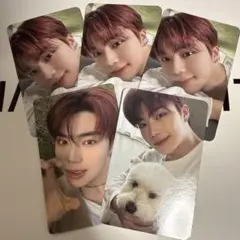 ZEROBASEONE パクゴヌク トレカ 5枚セット