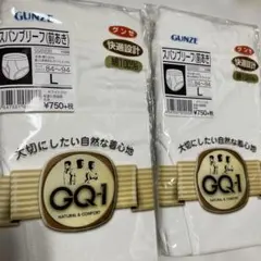 未使用 グンゼ GQ-1 スパンブリーフ 前あき Lサイズ 2枚セット