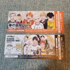 ハイキュー　ショーセツバン　特典