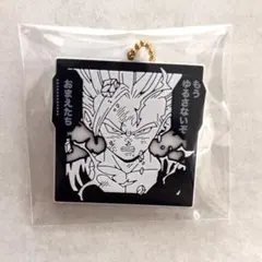 【孫悟飯】ドラゴンボール40周年記念ラバマスビスケット　ラバーマスコット