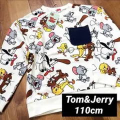 Item thumbnail for item 122bb576-8a69-4c3e-b53b-007e27a4f74b