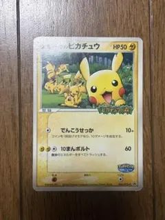ポケパークのピカチュウ PROMO PCG-Pプロモカード 043/PCG-P