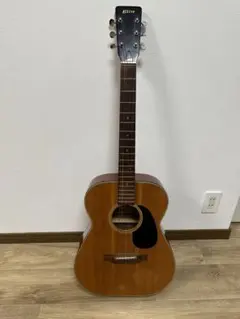 Elite Takamine アコースティックギター F80　ナチュラルウッド