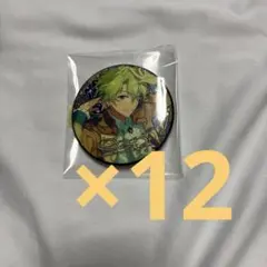 フ*ー様 巴日和 缶バッジ12点セット