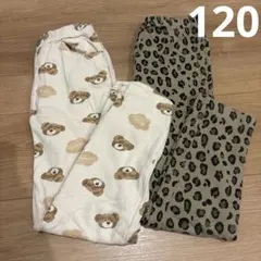 フタフタ BREEZE 2点セット 長ズボン ロングパンツ 120