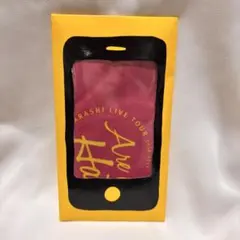 嵐 Are You Happy? メガネ拭き