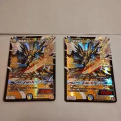 聖霊超王 Hアルカディアス 2枚 - メルカリ