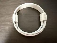 Apple 純正Lightningケーブル USB-C