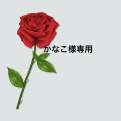 かなこ様一枚