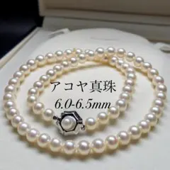 テリ強】アコヤ真珠 ネックレス 約6.5-7.0mm あこやパール 2501 - メルカリ