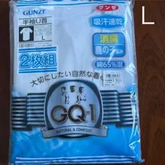 未使用、メンズ、グンゼ、肌着、Lサイズ、2枚組