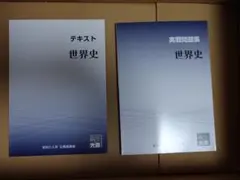 公務員試験　テキスト　問題集　世界史　＋大量のオマケのうち2つまで