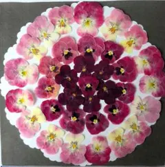 Item thumbnail for item fce94298-48c6-4eb6-9310-b397ebc652c1