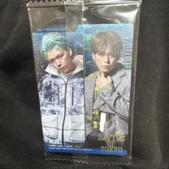 battle of tokyo 加納嘉将