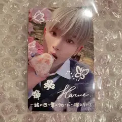 &TEAM 月狼 weverse ラキドロ 第2弾 手書き (ハルア)