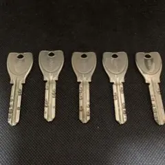 Item thumbnail for item 8a34bca7-f270-4f51-b9f8-9019c36c0cf4