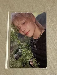 ニコラス ウィバショ ラキドロ トレカ