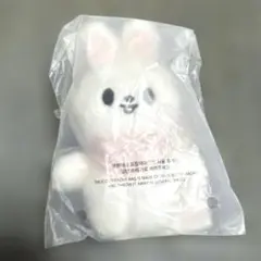 スキズ SKZOO PLUSH 10CM ぬいぐるみ 5CLOCK リービット