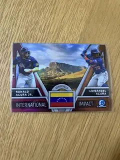Venezuela ronald acuna jr・luisangelacuna