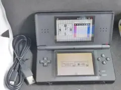 動作確認済　充電ケーブル付　ニンテンドーDS Lite ブラック　本体