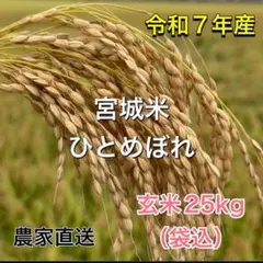 愛媛県産 無農薬 コシヒカリ 20kg 令和7年度米 玄米 精米 - メルカリ