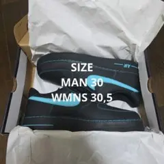 NIKE AIR FORCE 1 '07 LV8 Black/Cactus