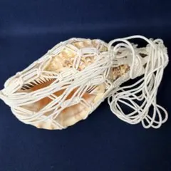 Item thumbnail for item dfab37f6-d975-4527-a45d-52c133b58ee6