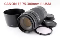 大迫力超望遠/Canon純正 75-300mm III型 超望遠レンズ - メルカリ