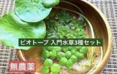 ナナミケーキ様 リクエスト 3点 まとめ商品