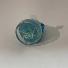 あんスタ スタライ 8th 風早巽 リングライト