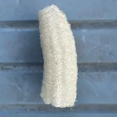 へちまたわしと種セット