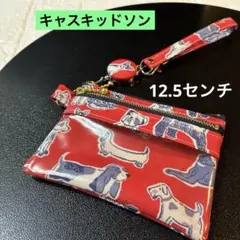 ☆大きめ！キャスキッドソンICパスケースキーリール付き付きラミネート