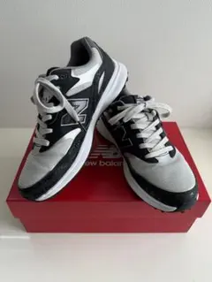 Item thumbnail for item 2559c1f6-76ef-4103-9a4a-a660075099d9