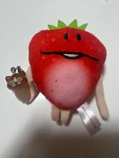 いちごなめこぬいぐるみ　ねこなめこめじるしアクセサリーセット