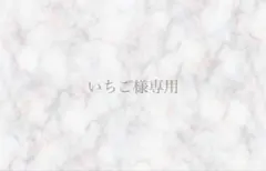 いちご様専用ページ