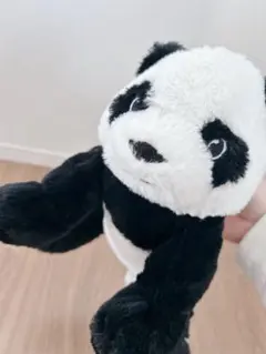 Item thumbnail for item ad4eacd4-2dd9-47ff-ac3f-4218d4d4dbc5