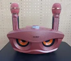 2026年最新】sdrd カラオケの人気アイテム - メルカリ