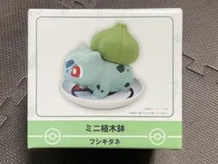 【ポケモンセンター限定】 ミニ植木鉢 フシギダネ