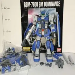 MG 1/100 プレバン限定 ジム・ドミナンス 塗装完成品 ガンプラ ガンダム