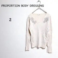 プロポーションボディドレッシング リブニット 2 アイボリー 花刺繍 Vネック