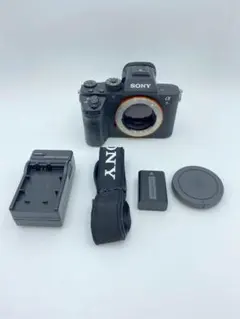SONY α9 ボディ ミラーレス一眼カメラ - メルカリ