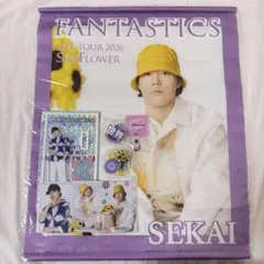 ✨レアアイテムあり✨ FANTASTICS 世界　まとめ売りのサムネイル
