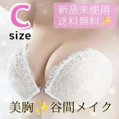 Item thumbnail for item e8778e04-e020-43ee-83f8-822dfa982f12