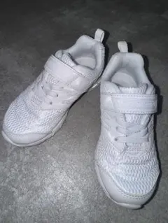 Item thumbnail for item e87e00c9-51af-4b98-bc6c-39d2f0df757d