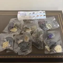 原色爬虫類カメ目図鑑（新改訂版）７種のサムネイル